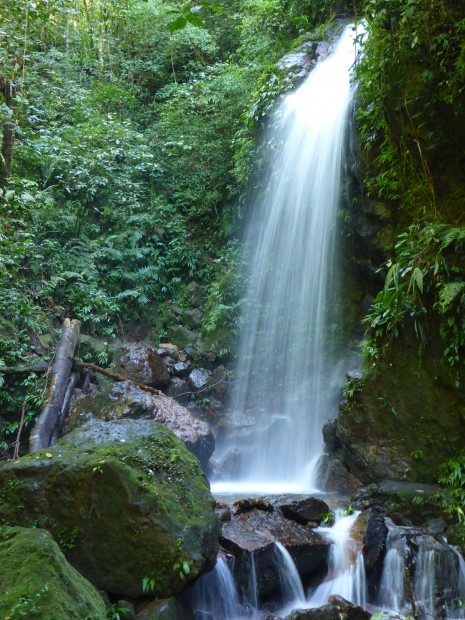 Wasserfall auf dem Sasai-track