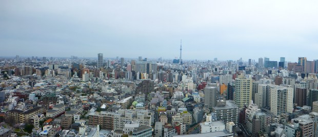 ein kleiner Teil von Tokyo city, im Hintergrund der Skytree -das 2. hoechste Gebaeude der Welt